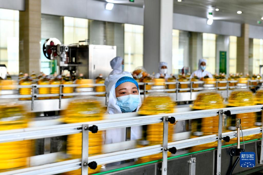 大嘴棋牌官网下载